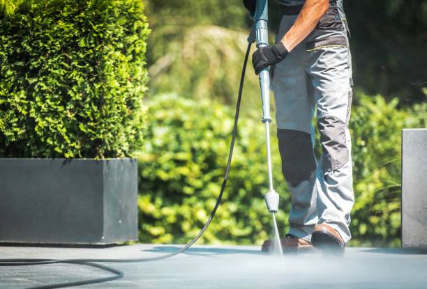 Animal Enclosure Cleaning in Wappingers Falls, NY